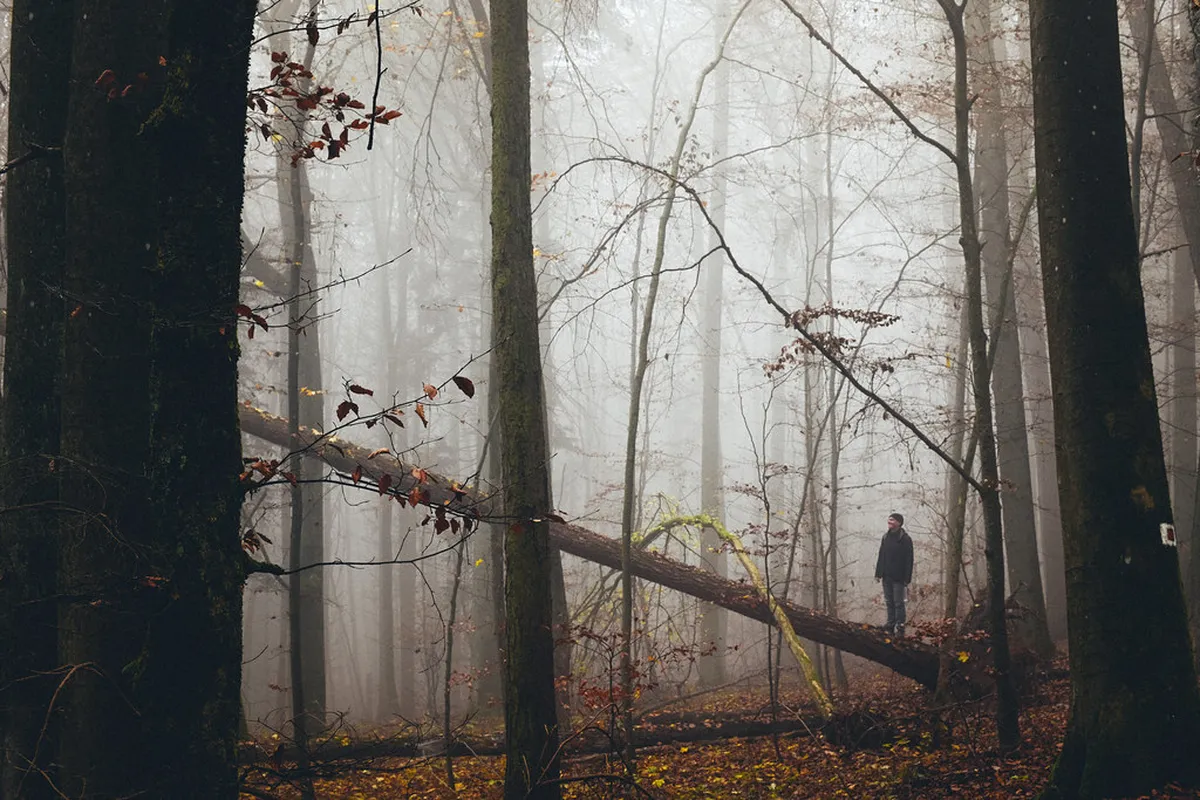 Exploring Kamenná Colony District: A 2-Day Brno Itinerary