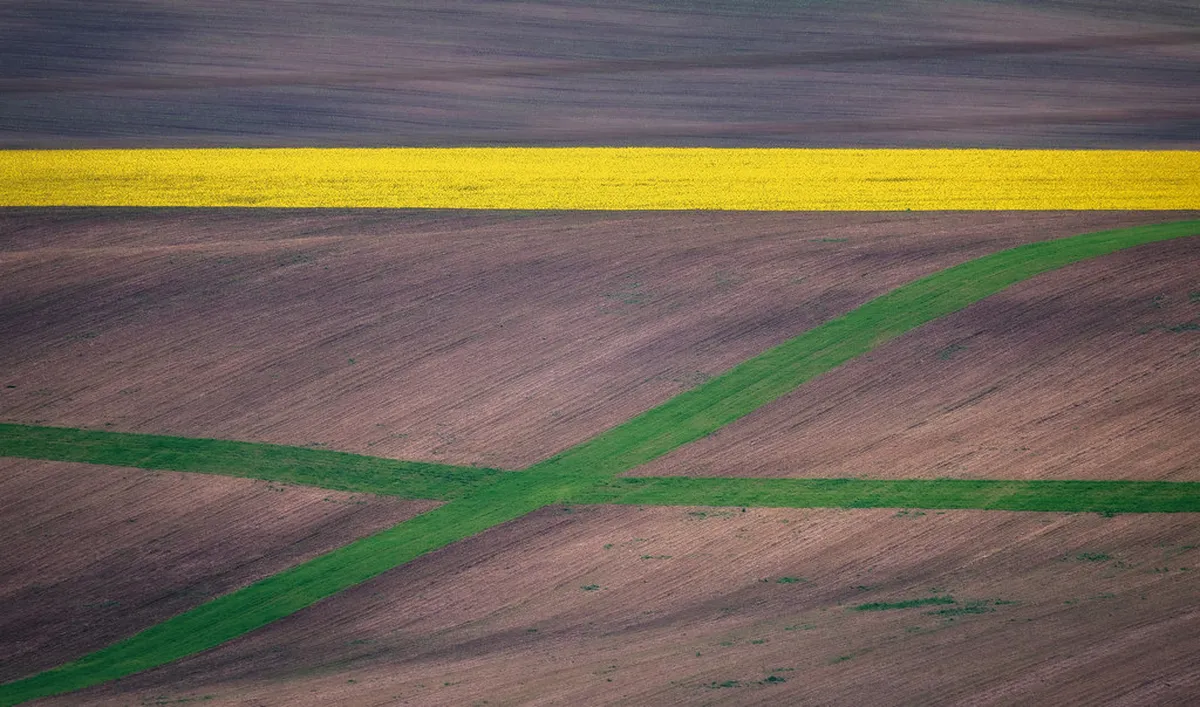 10 Best South Moravia Wine Tasting Tours from Brno