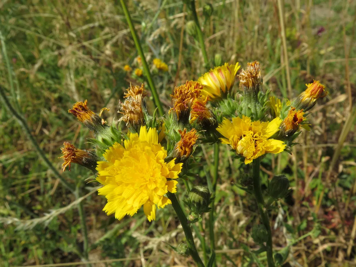 10 Best Sights in Znojmo and Podyjí National Park