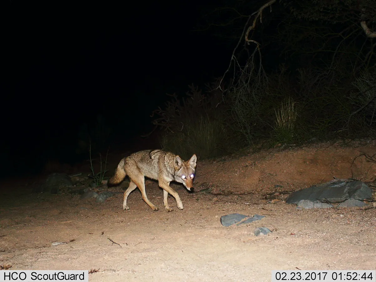 Latrán District Walking Guide: A 2-Day Itinerary