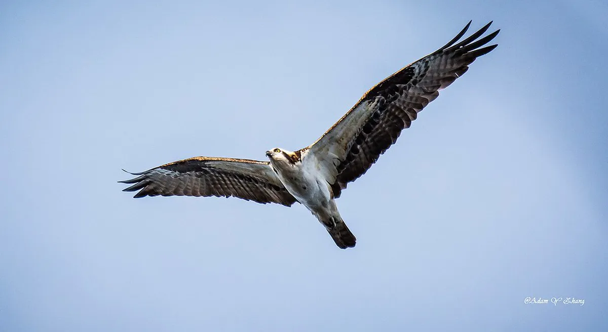 What is Moldavite and Why is it Unique? Top 10 Guide