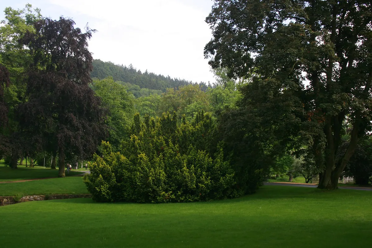 The Perfect Marianske Lazne Itinerary: 3 Days of Bliss