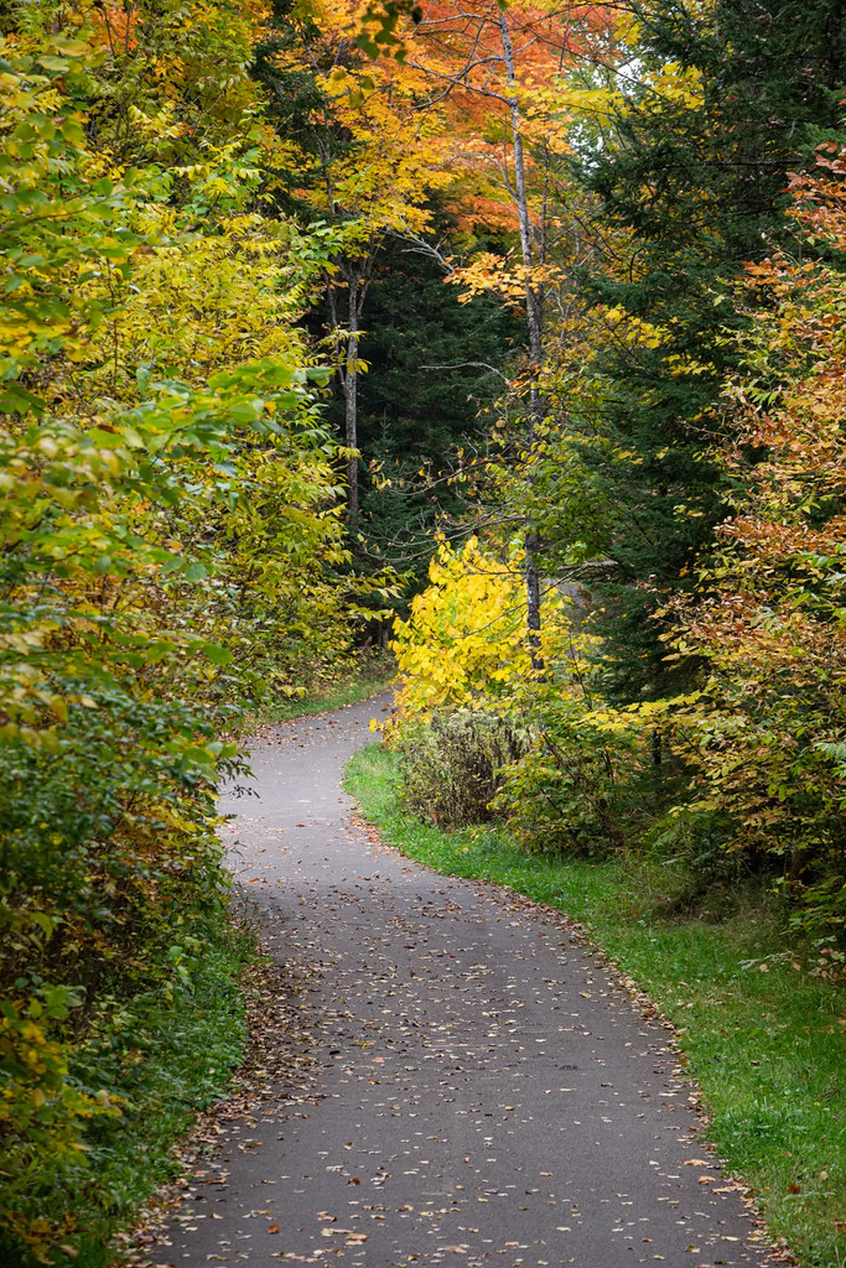 Best Soos Nature Reserve Trip Guide for 2026