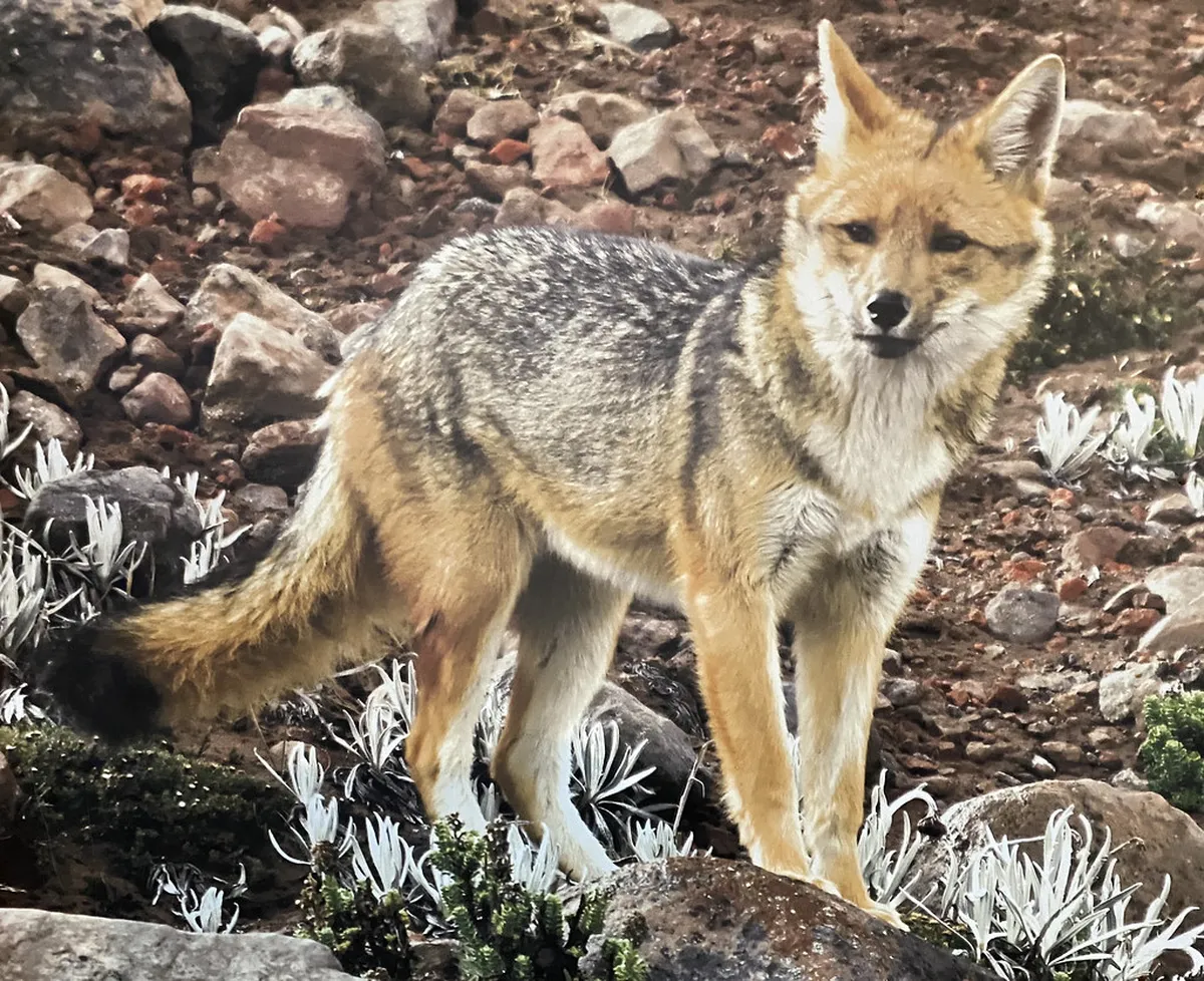 Review: Underground Tour of the Vridlo Geyser (2026)