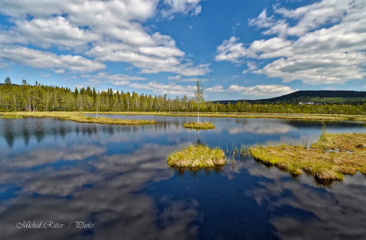 Black Lake Šumava Trail Map and Parking Guide 2026