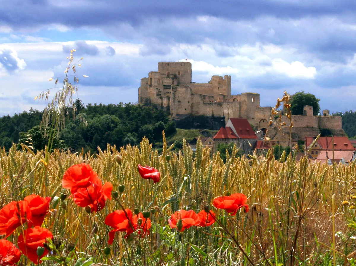 11 Best Things to Do on a Rabí Castle Day Trip