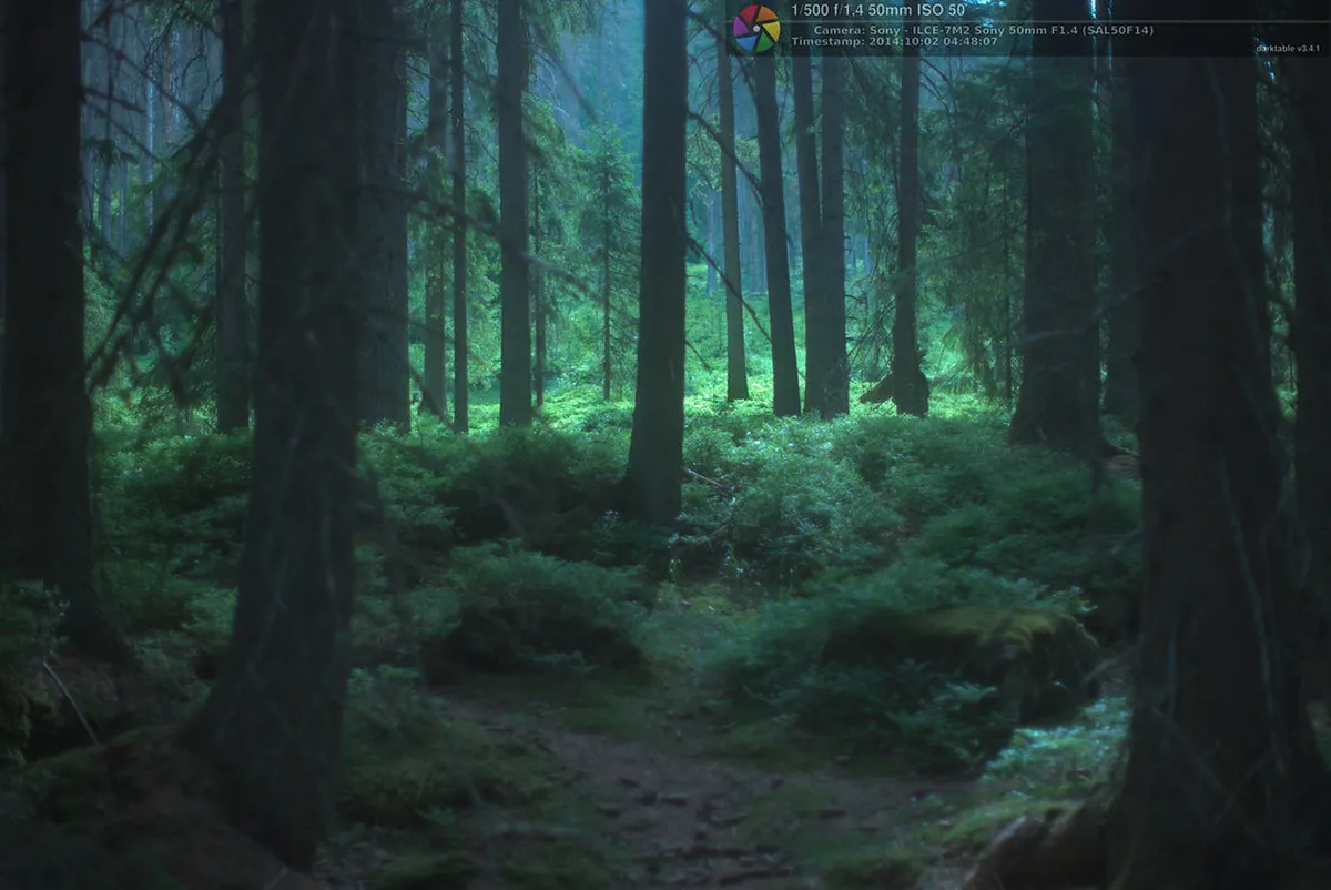 Šumava National Park from Plzeň: A 3-Day Itinerary